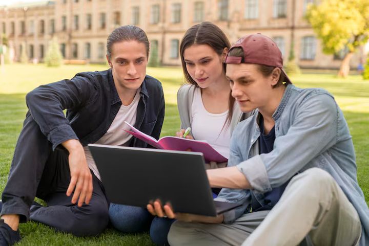 Diploma in IT in New Zealand: Best Colleges & PR Eligibility