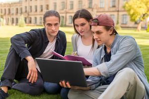 Diploma in IT in New Zealand: Best Colleges & PR Eligibility