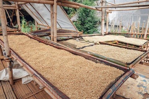 Rice Mill Plant Setup Explained: Machinery, Processing Systems & Industrial Applications