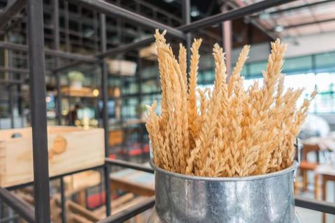 Flour Mill Manufacturing Business Explained: Plant Setup, Machinery & Processing Systems