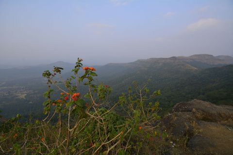 Saputara Weekend Trip: Budget, Route, and Is It Worth It?