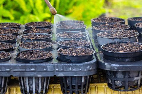 Fertilizer Manufacturing Process Explained: Production Systems, Machinery & Agricultural Applications