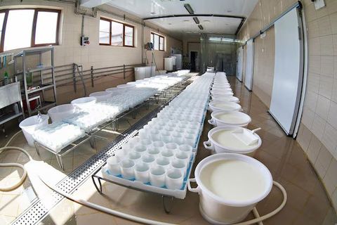 Milk Powder Manufacturing Process Explained: Dairy Processing, Spray Drying & Industrial Applications